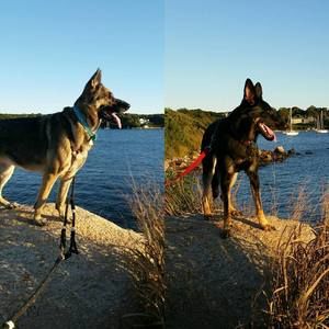 Meet your Posher, Mia